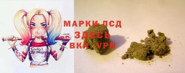 каннабис Новозыбков