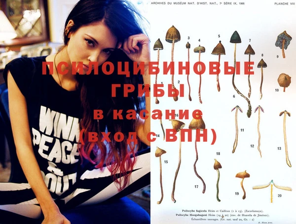 каннабис Новокубанск