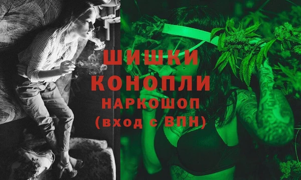каннабис Новозыбков