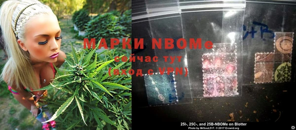 каннабис Новозыбков