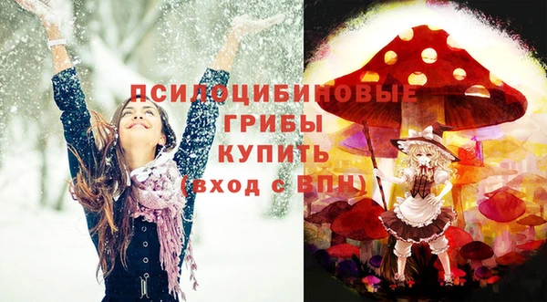 каннабис Новокубанск